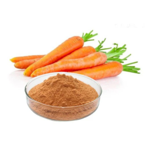 Dry Carrot Powder
